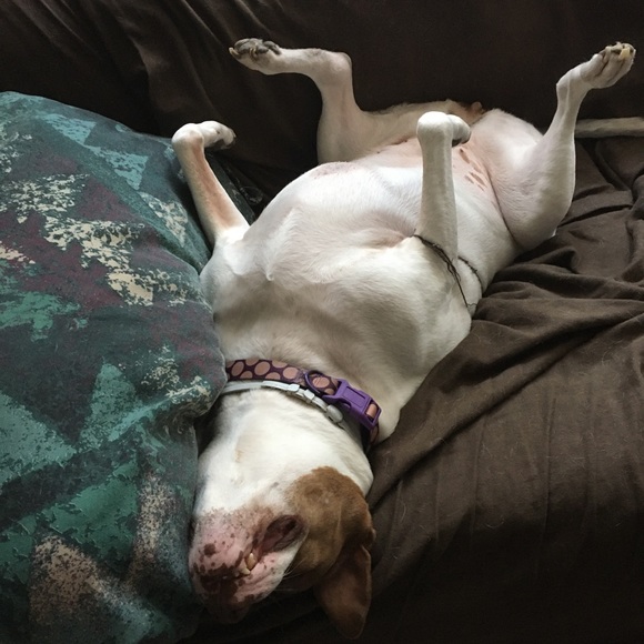 Meet your Posher, Jennifer - Picture 5 of 9